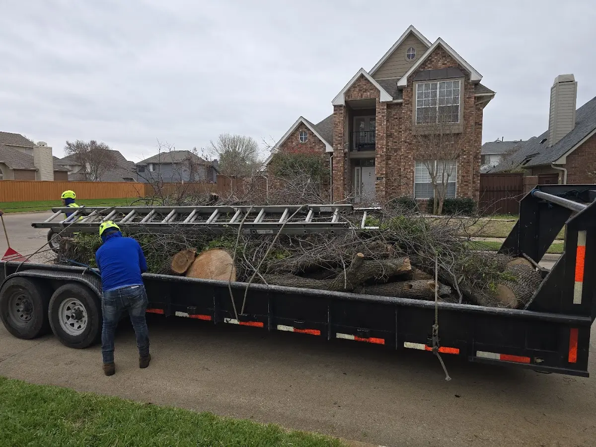 Expert Tree Removal with proper safety equipment in Grand Ronde